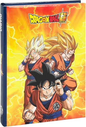 Diario scuola dragon - scuola, ball